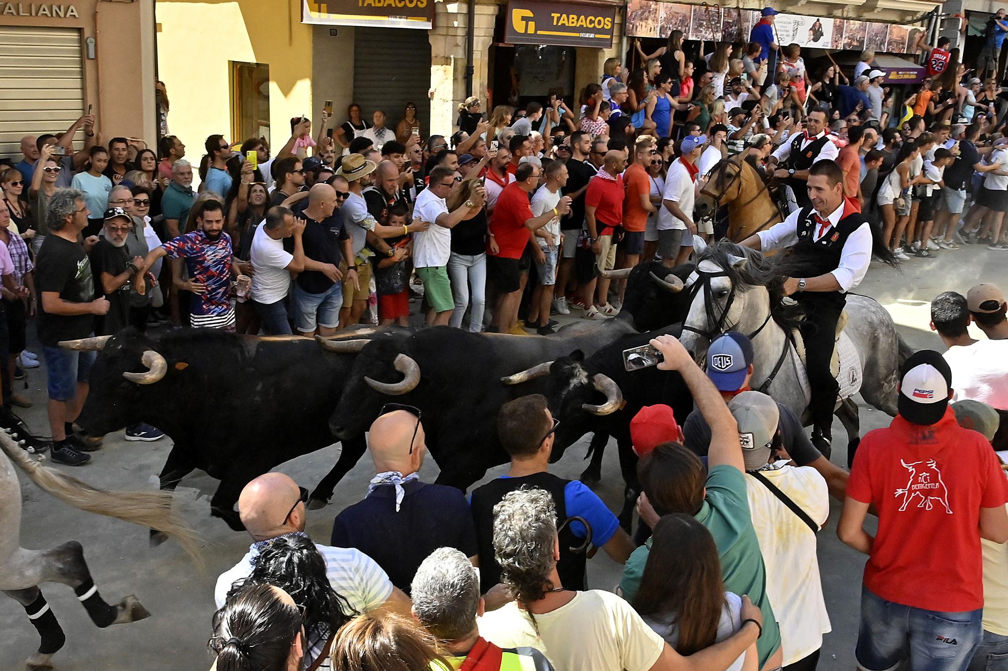 Fotos de ambiente y de la segunda Entrada de Toros y Caballos de Segorbe