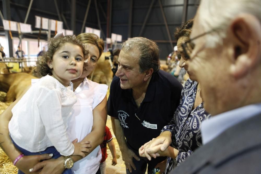 Feria ganadera de San Antonio