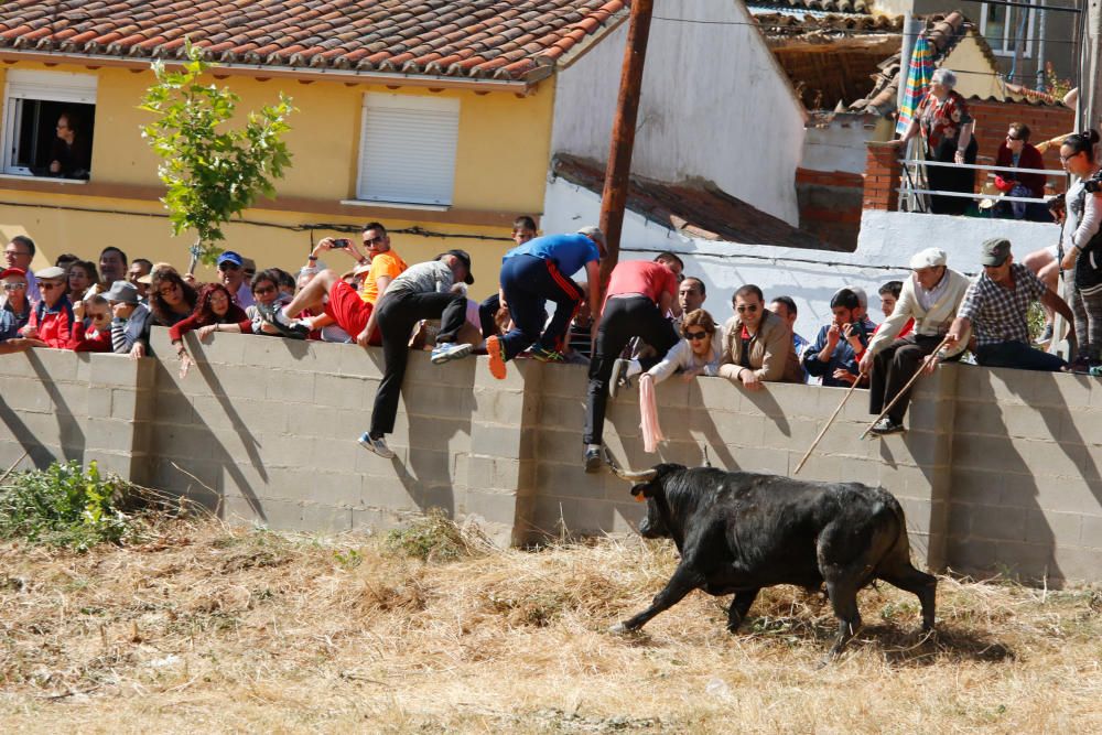 Espantes de Guarrate