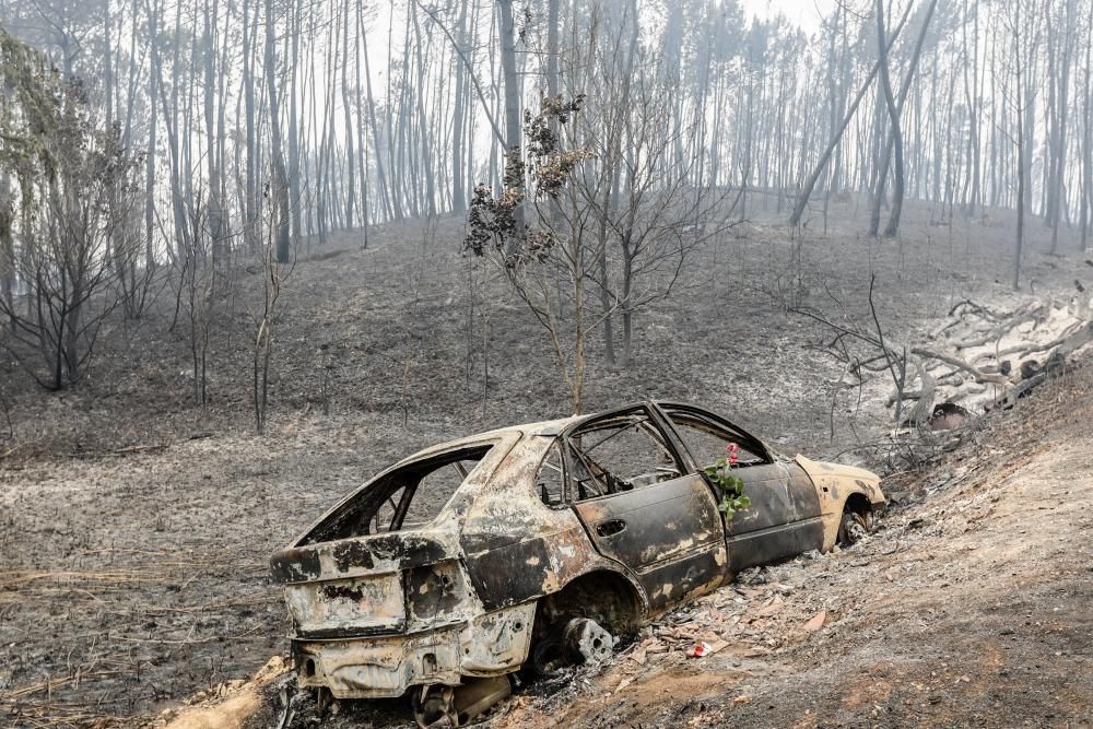 Incendio de grandes dimensiones en Portugal