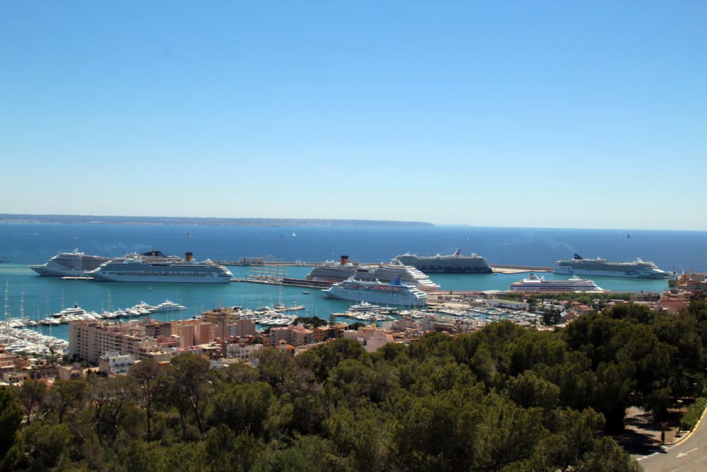 Llegan ocho cruceros y 22.000 turistas al puerto de Palma