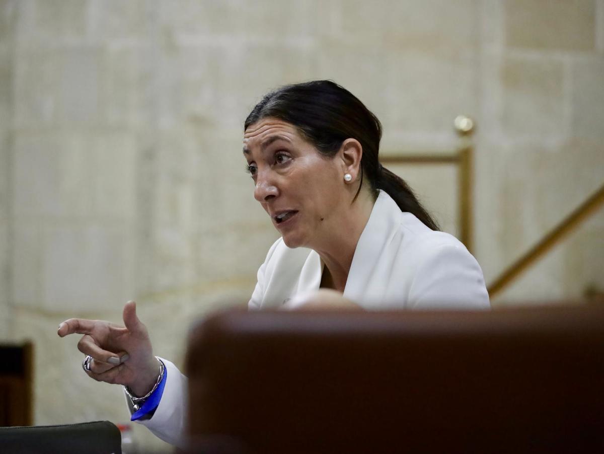 Archivo - La consejera de Inclusión Social, Juventud, Familias e Igualdad, Loles López, en una imagen de archivo