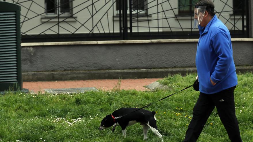 Una ciudad italiana reducirá los impuestos hasta en 200 euros por adoptar un perro