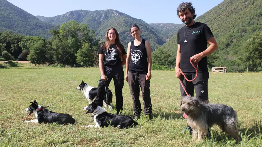 Vídeo: Un pastor del Montseny ensenya les tècniques per millorar la gestió de ramats a les noves generacions