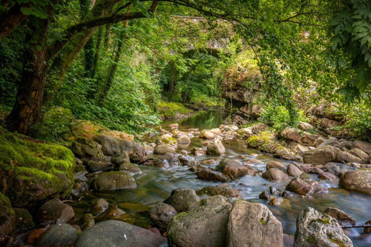 El entorno natural de Bárcena Mayor