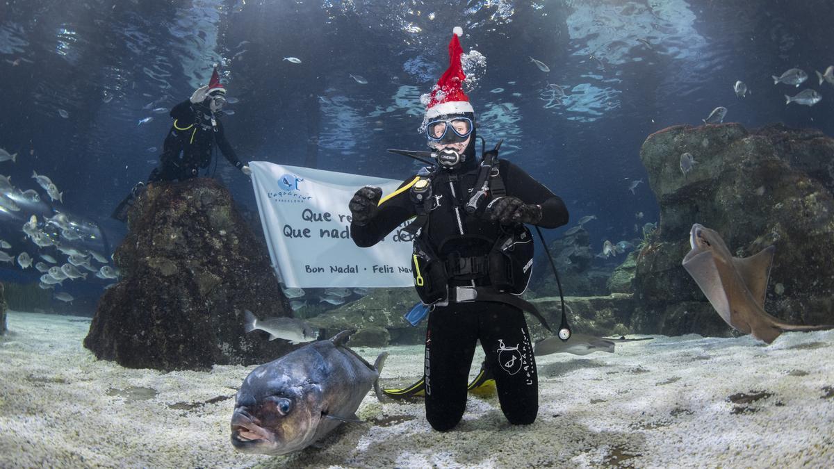 L’Aquàrium de Barcelona y Miki Núñez felicitan la Navidad