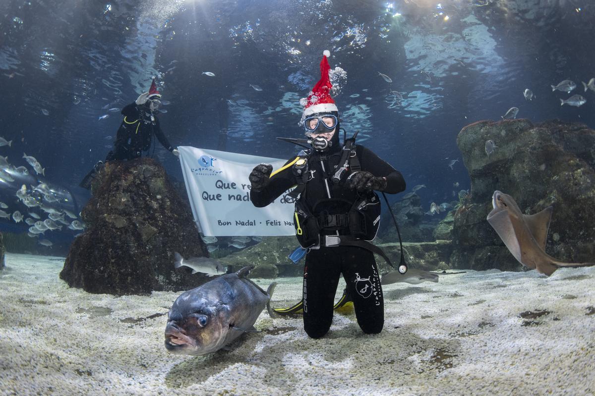 L’Aquàrium de Barcelona y Miki Núñez felicitan la Navidad