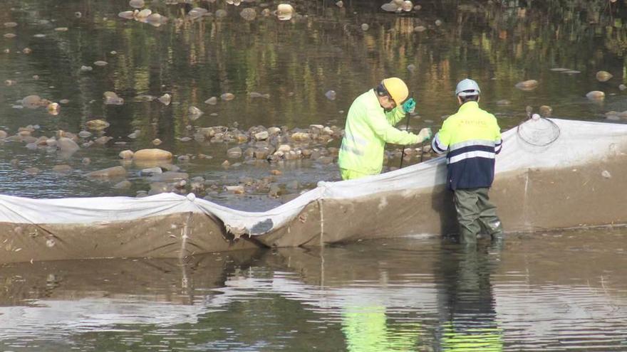 Dos operarios, en la barrera colocada para impedir el paso de material contaminante al río Narcea.