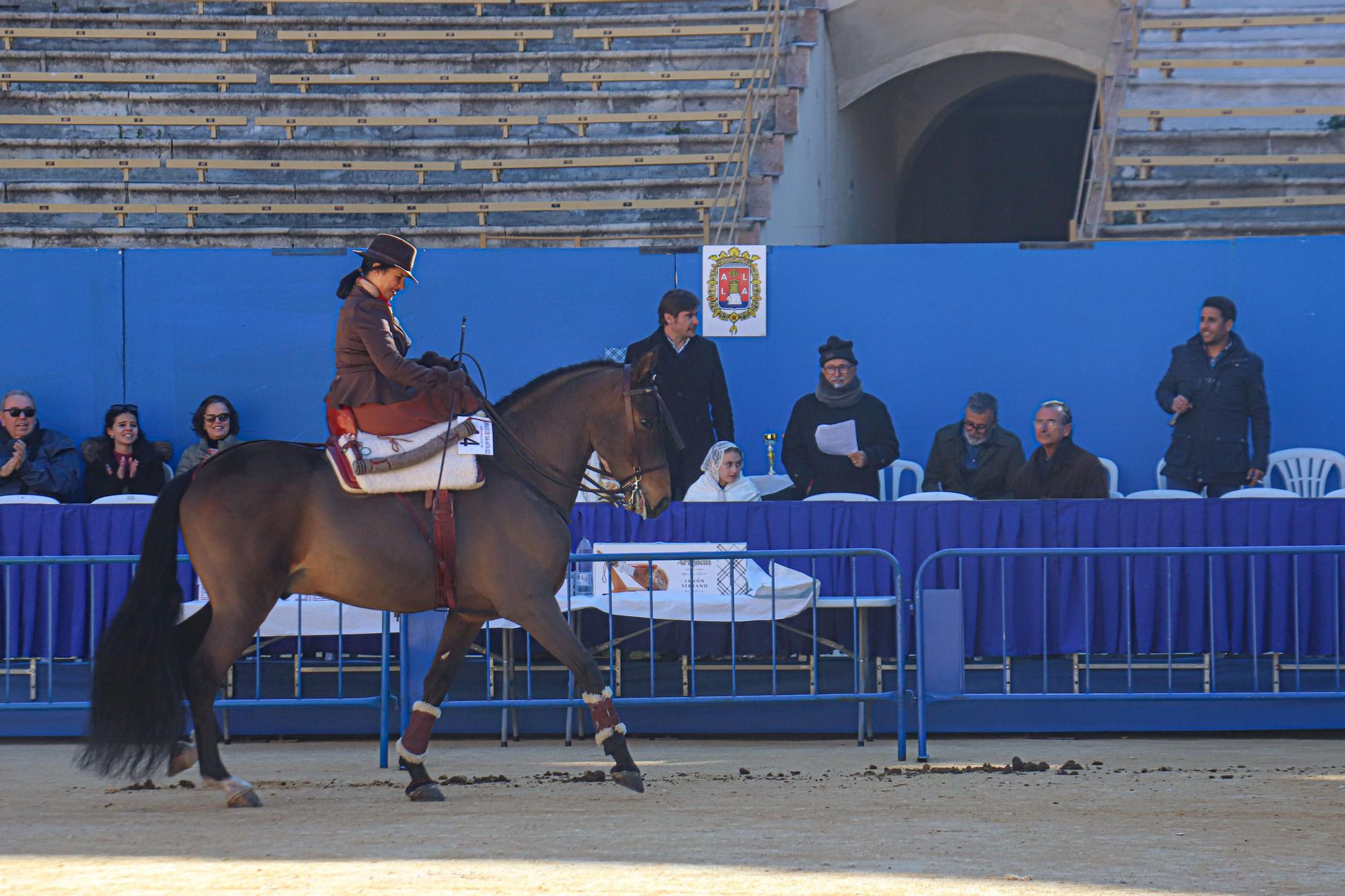 Concurso ecuestre y Bendición de animales por San Antón en Alicante