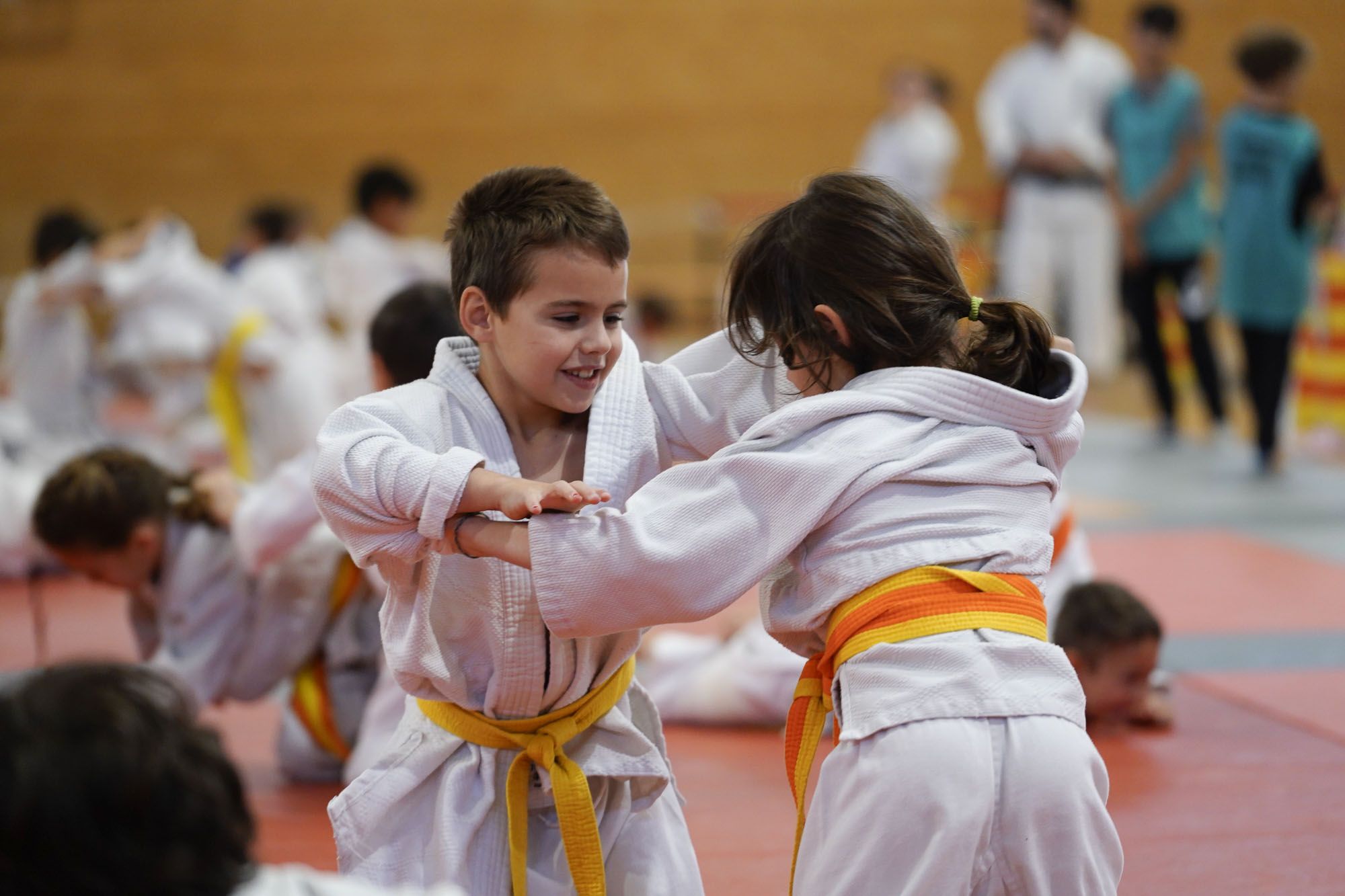 Les imatges del torneig infantil de judo de l'Escola 7