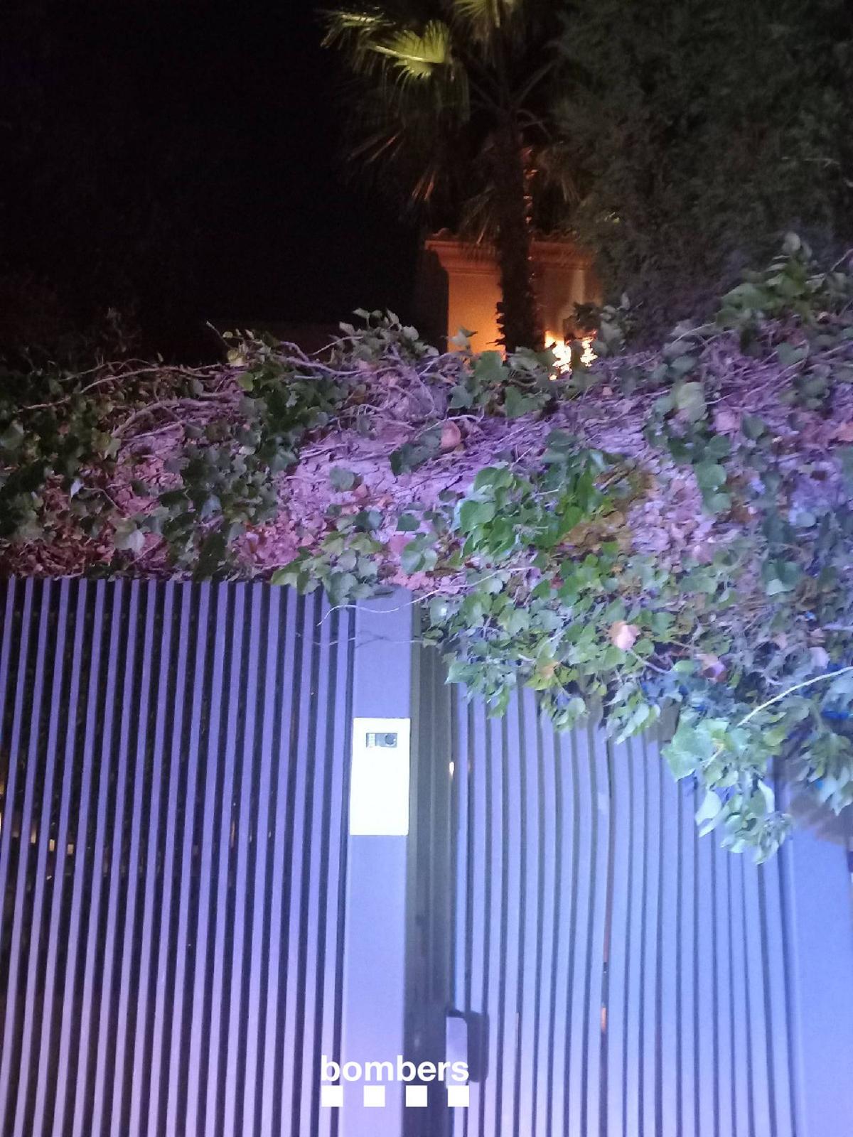 La caiguda d'unes branques d'un arbre a l'accés d'un habitatge de Lloret.