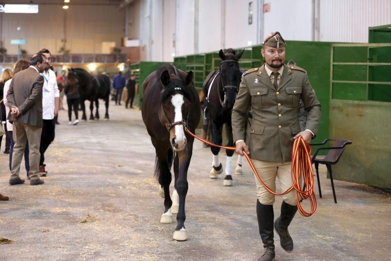 XIV Feria Internacional para la Producción Animal