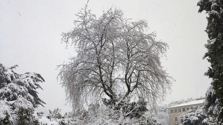 Mallorca am Feiertag: Fahren Sie bitte nicht zum Schnee-Gucken in die Tramuntana