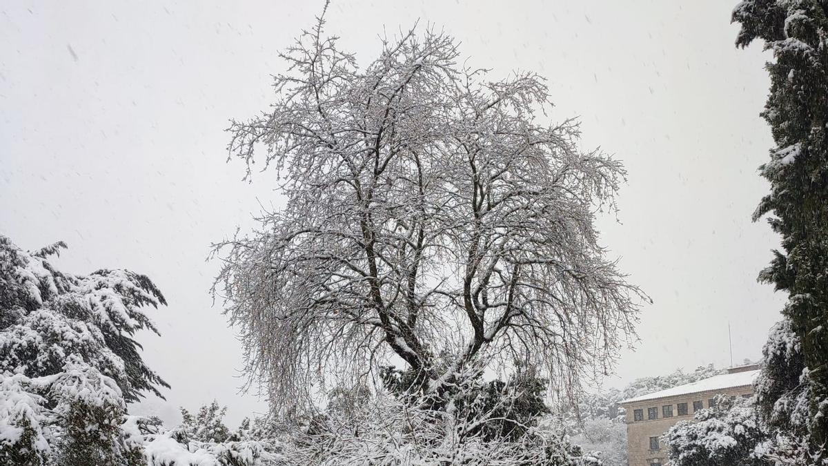 Schnee auf Mallorca – so schneit es in der Tramuntana