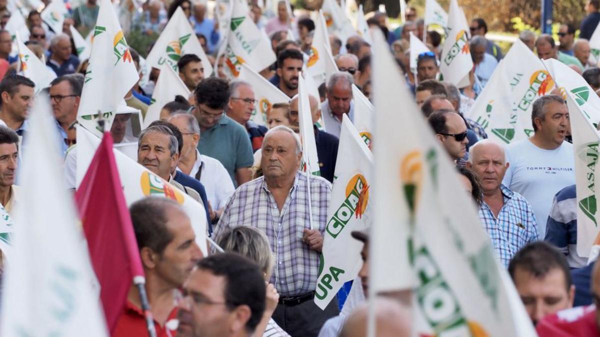 Un momento del recorrido de la manifestación.  | R. García  | –