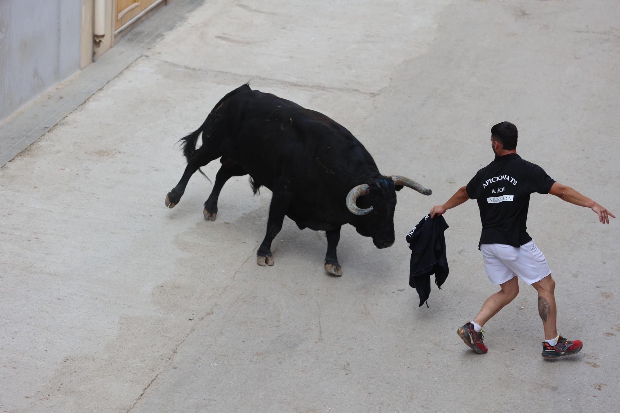 Las imágenes del ciclo taurino de Santa Quitèria en Almassora