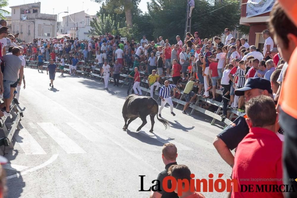 Primer encierro de Calasparra