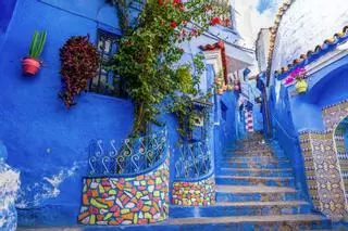 La ciudad azul más bonita del mundo que está dominada por gatos