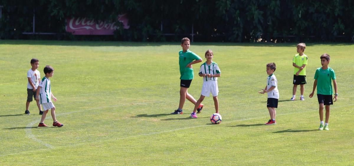 FOTOGALERÍA / Entrenamiento del Córdoba