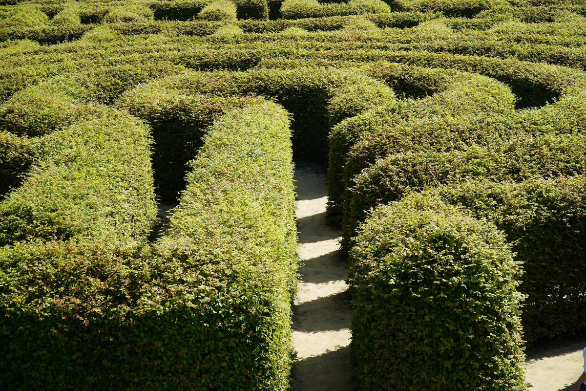 Entrada al laberinto.