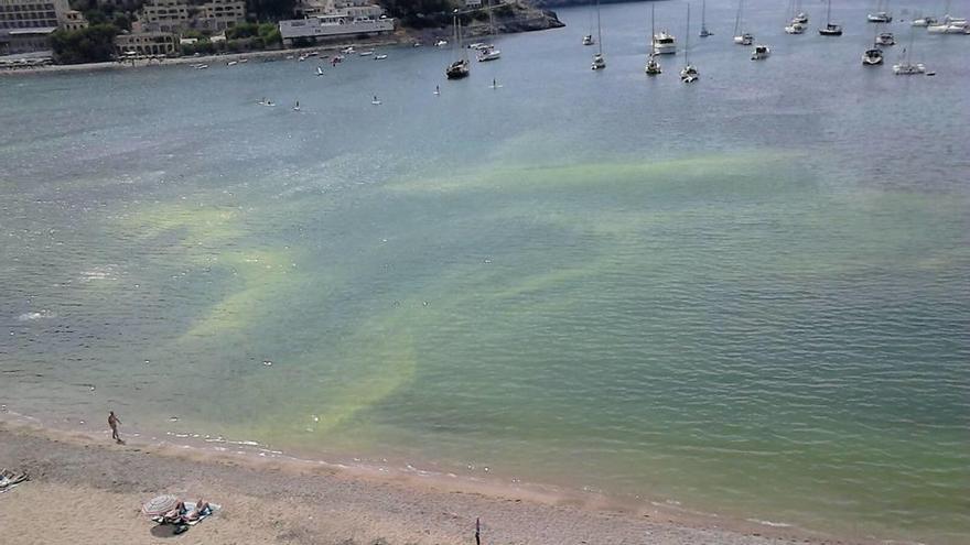 El calor causa un cambio de color del agua de mar