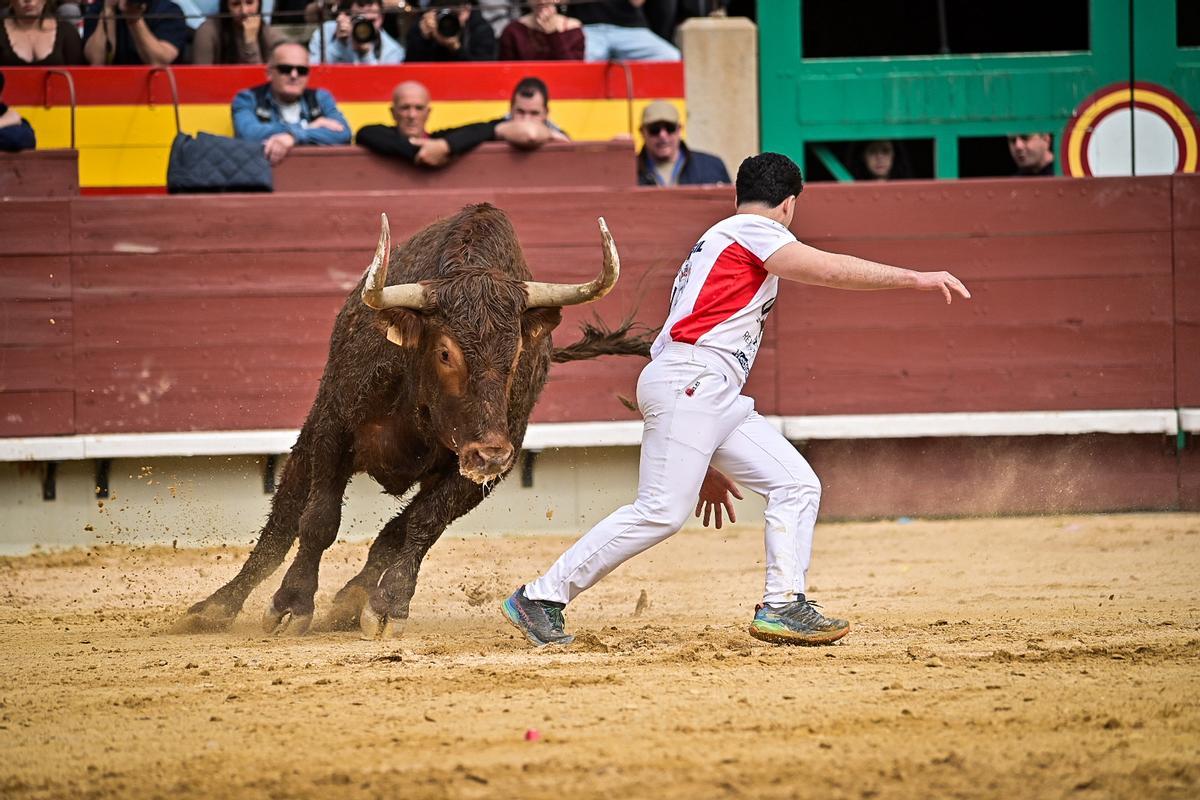 Galería de imágenes: Los maestros de la calle toman la plaza de Castelló