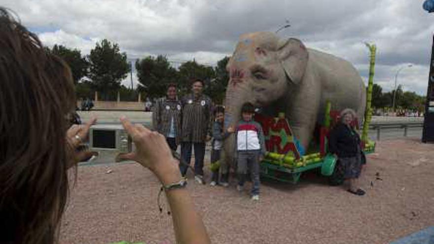 Un elefante sin cazar de romería