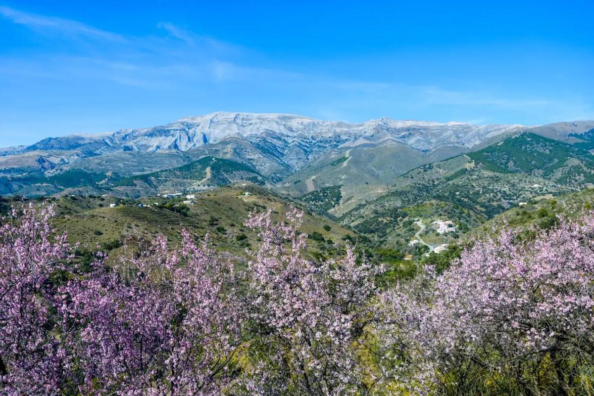 Parque Natural Sierras de Tejeda, Almijara y Alhama