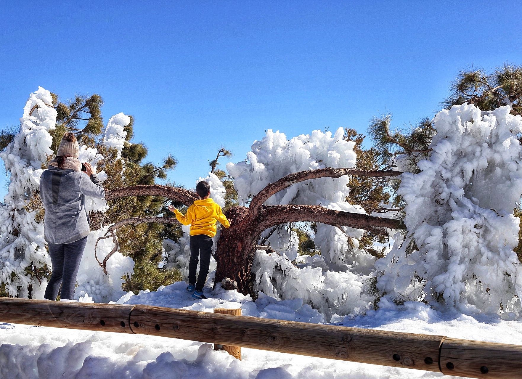 Jornada de nieve en El Teide