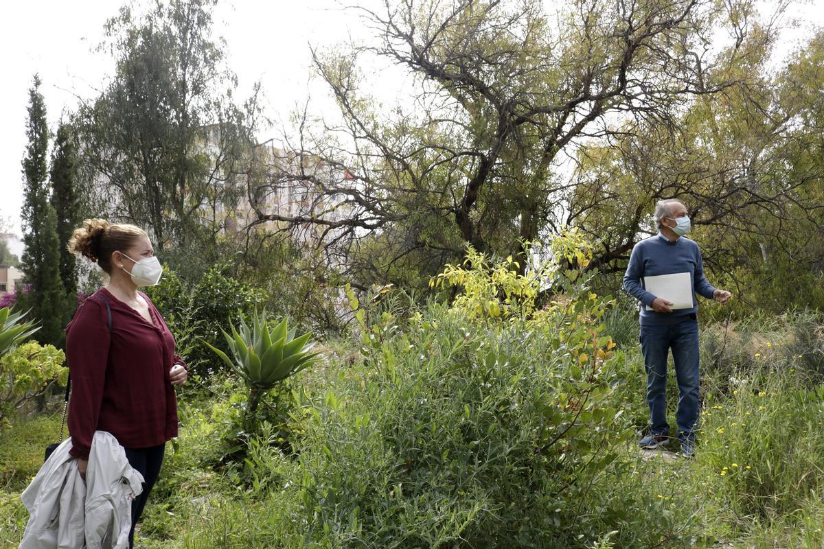 La parcela municipal de 9.000 m2 bajo el OMAU, la pasada primavera.