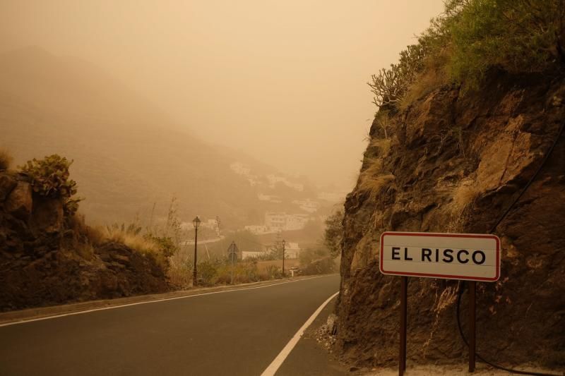 La Aldea - Agaete- Las Palmas de GC:. Incendio Tasarte y calima  | 23/02/2020 | Fotógrafo: José Carlos Guerra