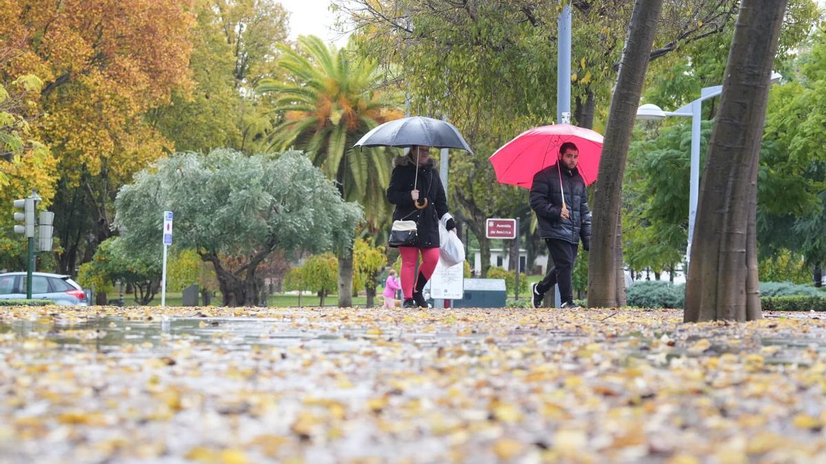 Caen en Córdoba más de 40 litros en doce horas