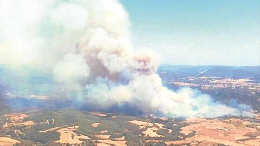 Un incendio forestal en Barcelona obliga a desalojar a 100 personas