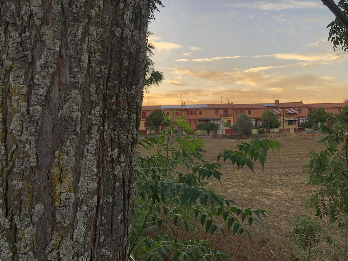 Fotogalería | El zonche de los Villegas en Cáceres