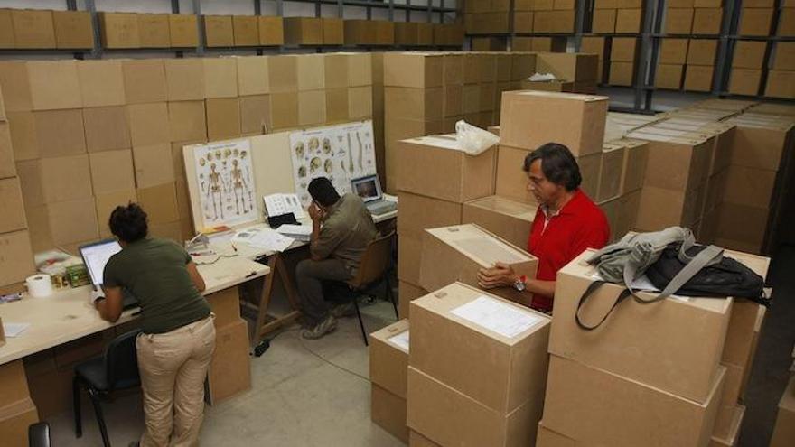 Detalle del estudio  de los restos localizados en las fosas comunes de San Rafael.