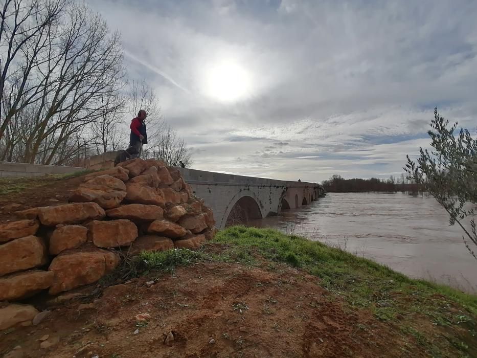 El río Duero a su paso por Toro.