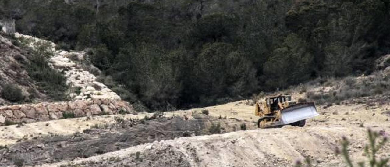 La maquinaria pesada se encontraba ayer junto a la zona de pinar de la finca de Lo Zafra y Cabezo de La Mina.