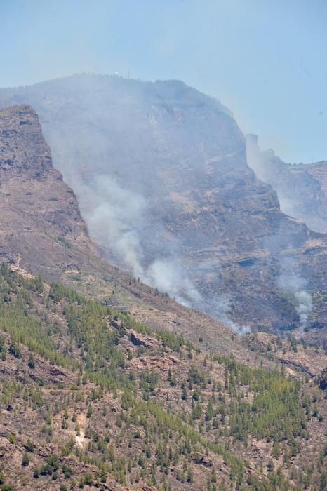 11-08-2019 Artenara. Segundo día del incendio en la cumbre  | 11/08/2019 | Fotógrafo: Andrés Cruz