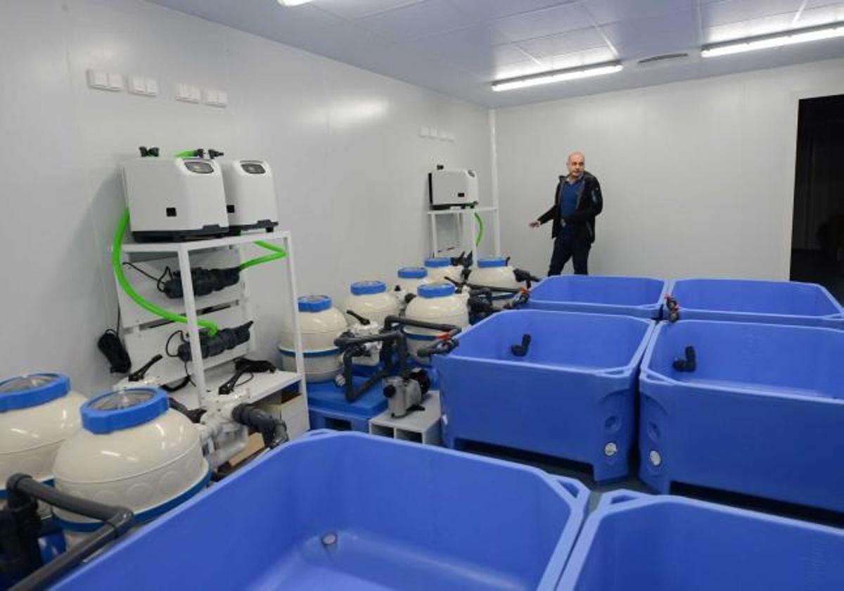 Los anfibios, nuevos inquilinos del campus