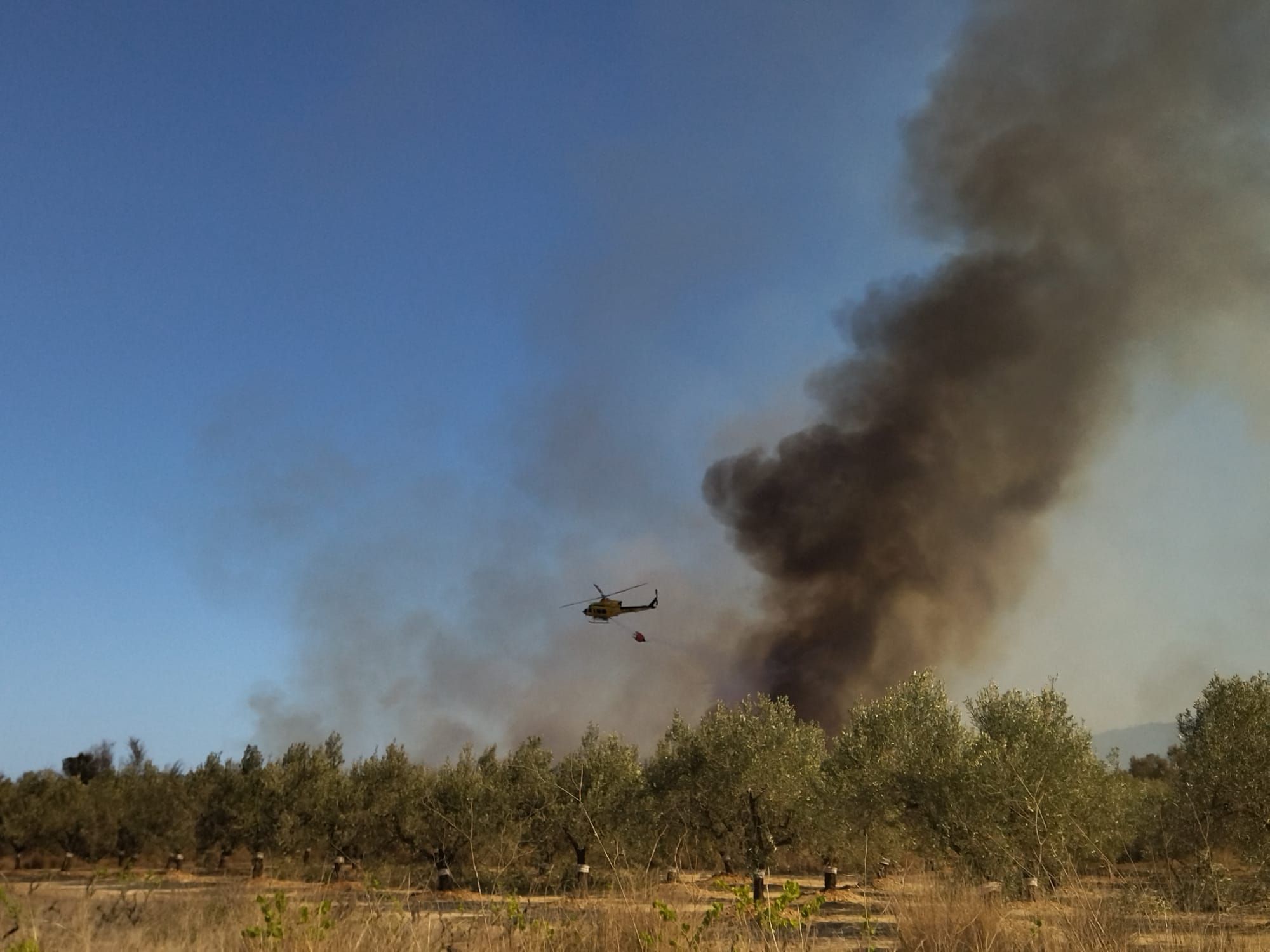 Las imágenes del virulento incendio de Xàbia