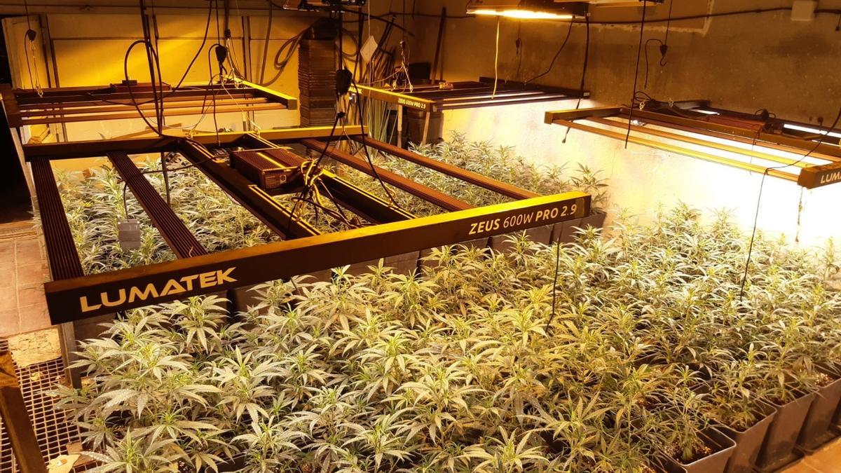 Las plantaciones interiores de marihuana son la principal causa de fraude eléctrico en España