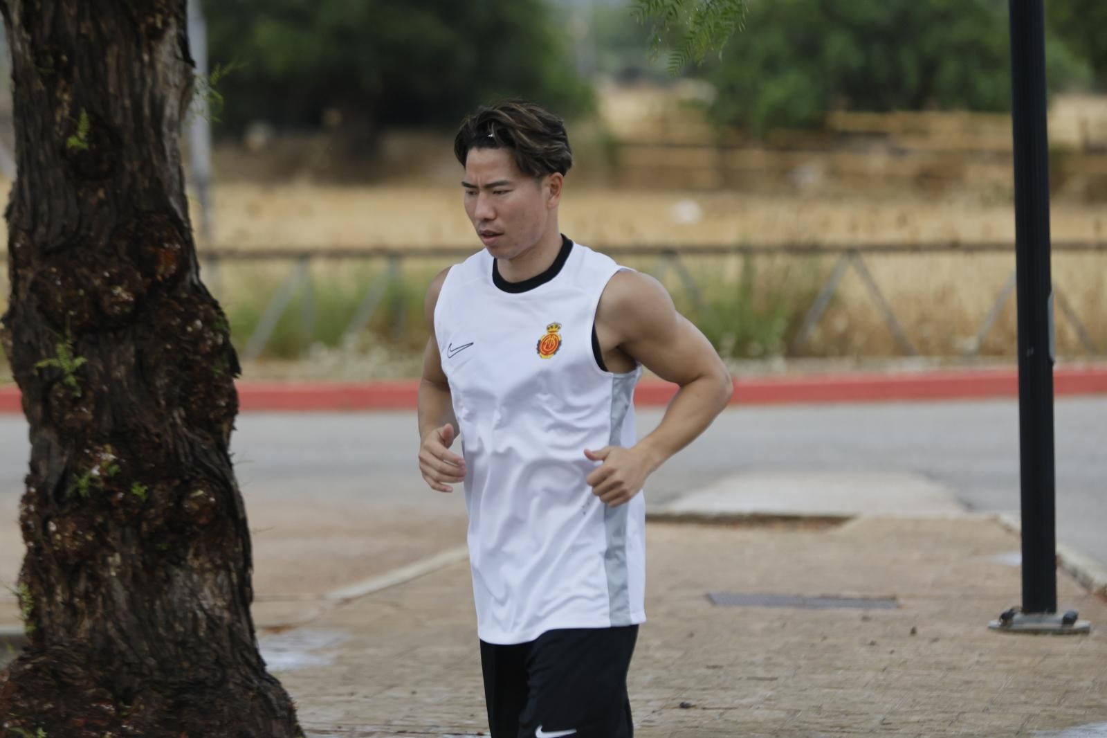 El Mallorca vuelve a entrenar en Son Bibiloni sin caras nuevas