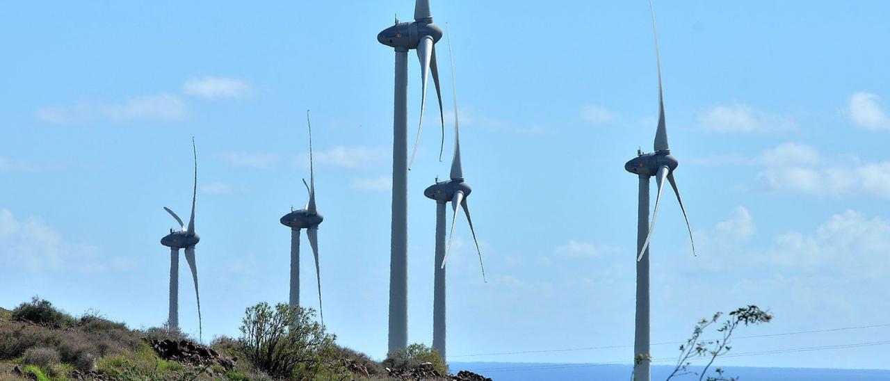 Parque eólico en funcionamiento en el sur grancanario. | | LP/DLP