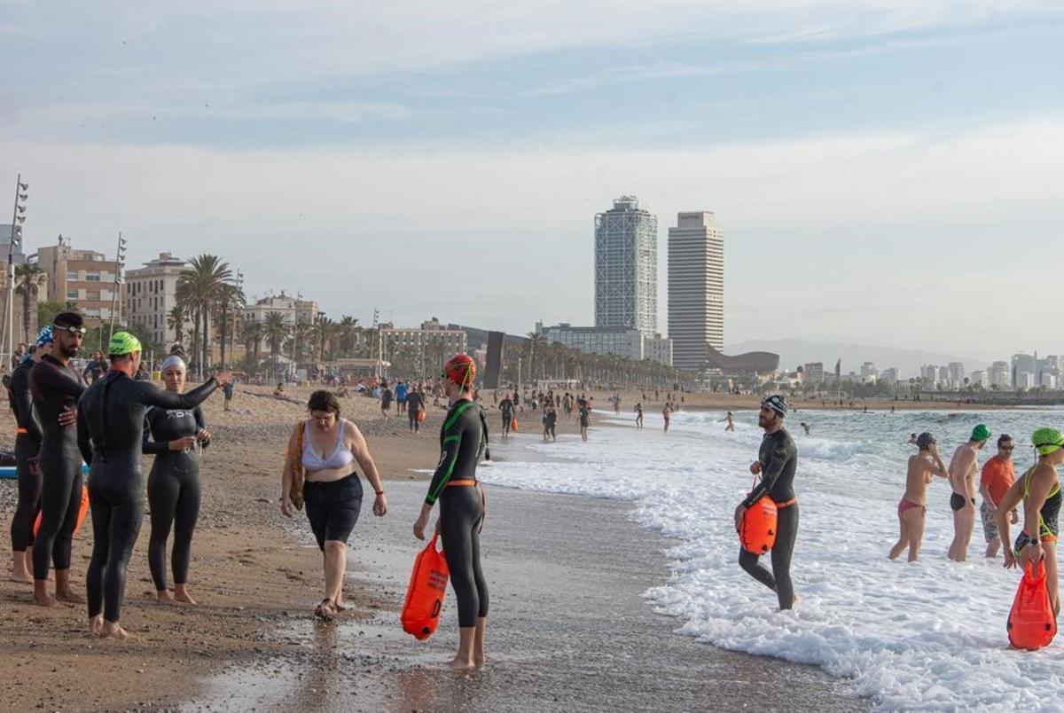 Nadadores profesionales en la playa de la Barceloneta.
