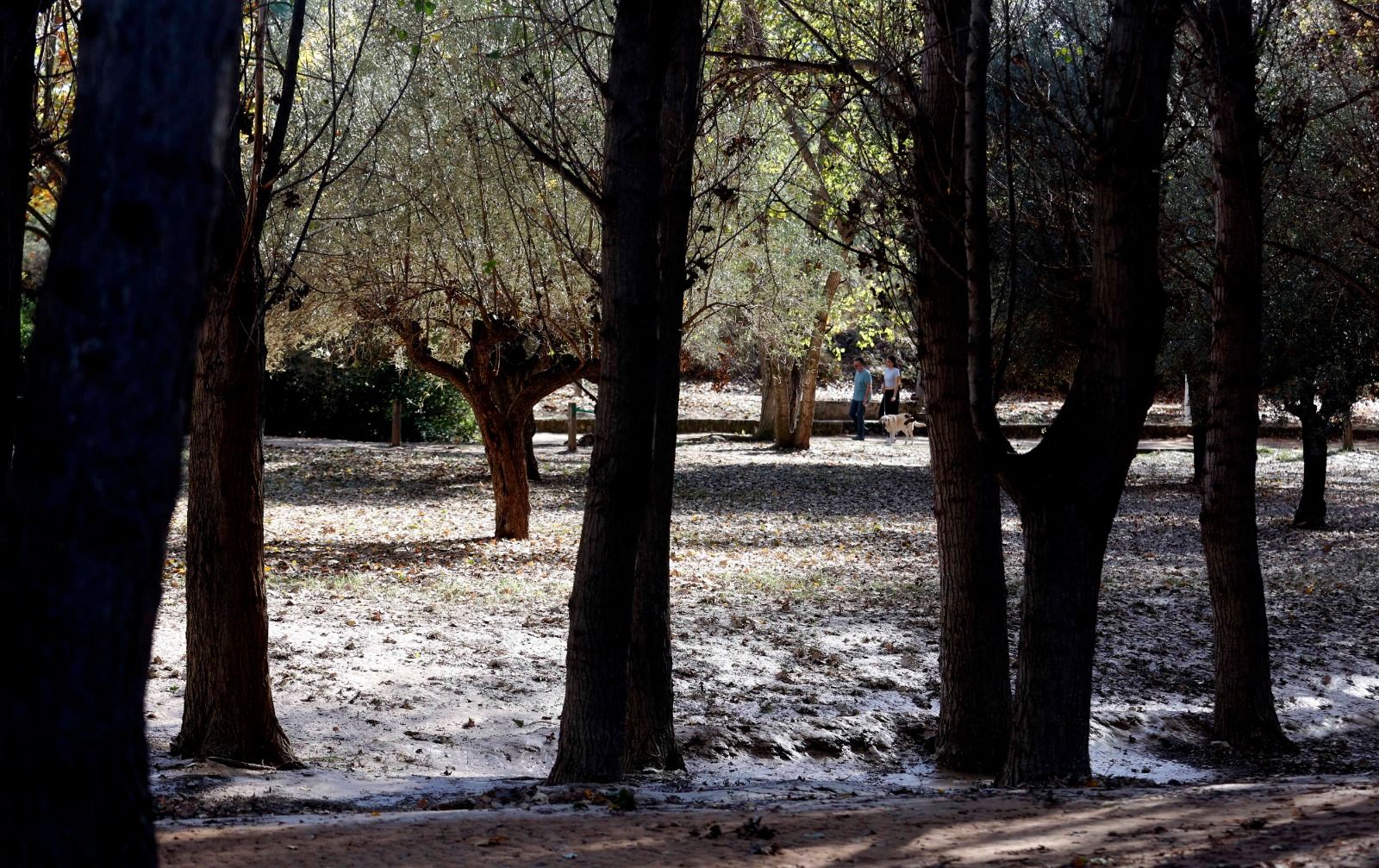 Parque de San Vicente, Lliria con colores otoñales.