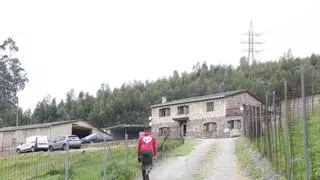 El criadero de perros intervenido en Gijón por la Guardia Civil amanece cerrado por "labores de limpieza"