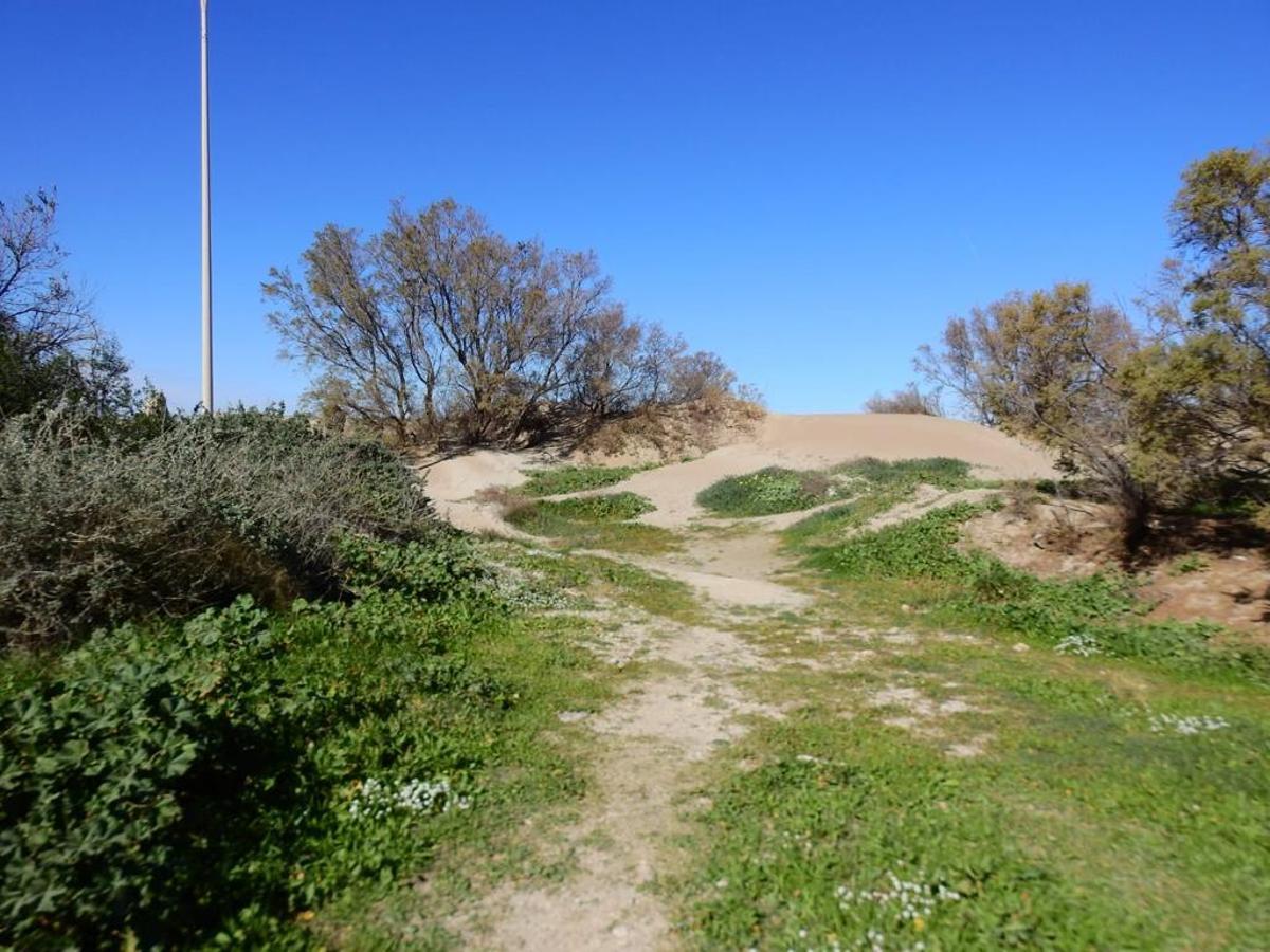 La duna del Raset, antes de su destrucción