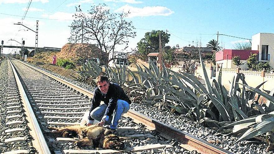 Están apareciendo perros atados a las vías del tren