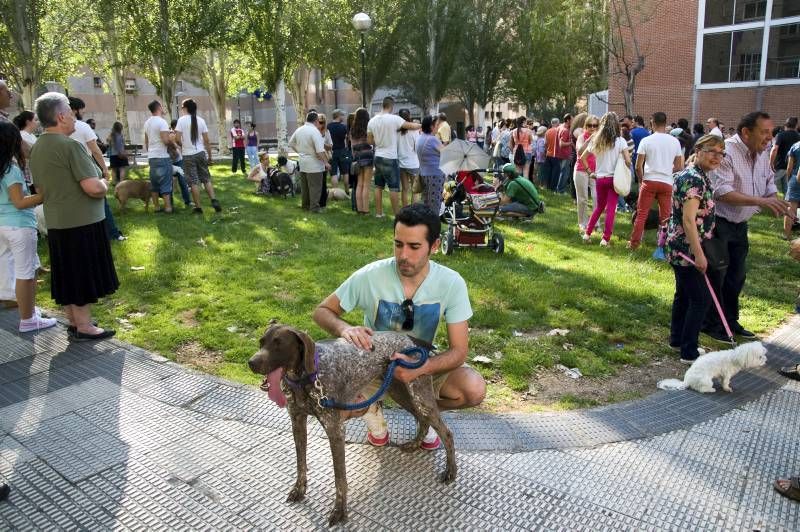 Fotogalería: Rechazo vecinal a la muerte del perro de Las Delicias