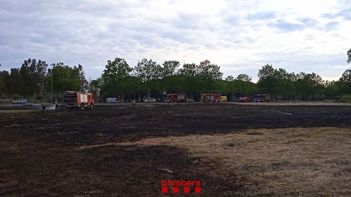 El camp afectat per l'incendi, que ha cremat uns 5.000 m2